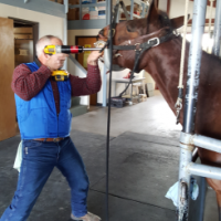 A veterinarian performing a dental procedure on a horse