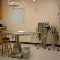 The surgical suite