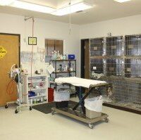 The surgical suite